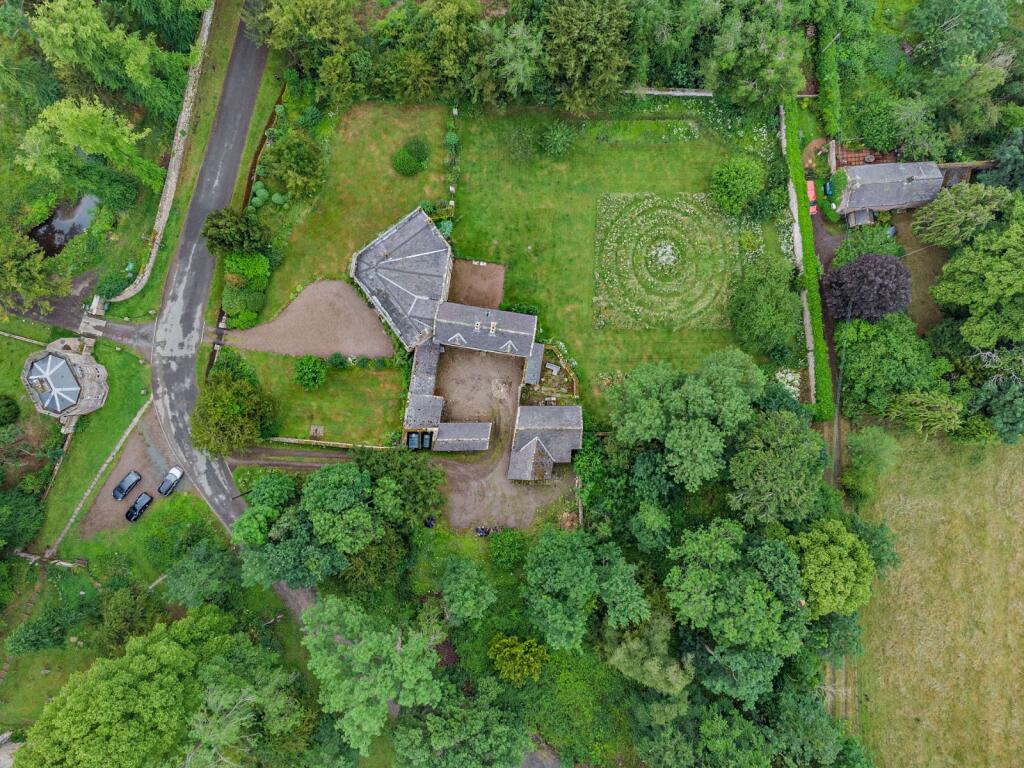 From Above
