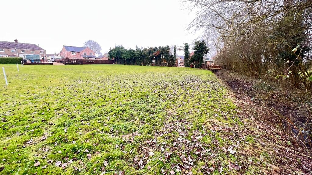 Rear "Field" Garden