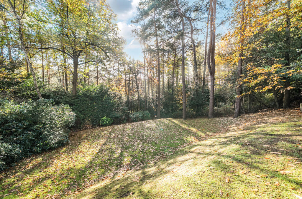 1375149-1-690deaf...