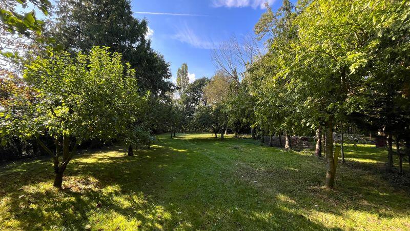 Orchard