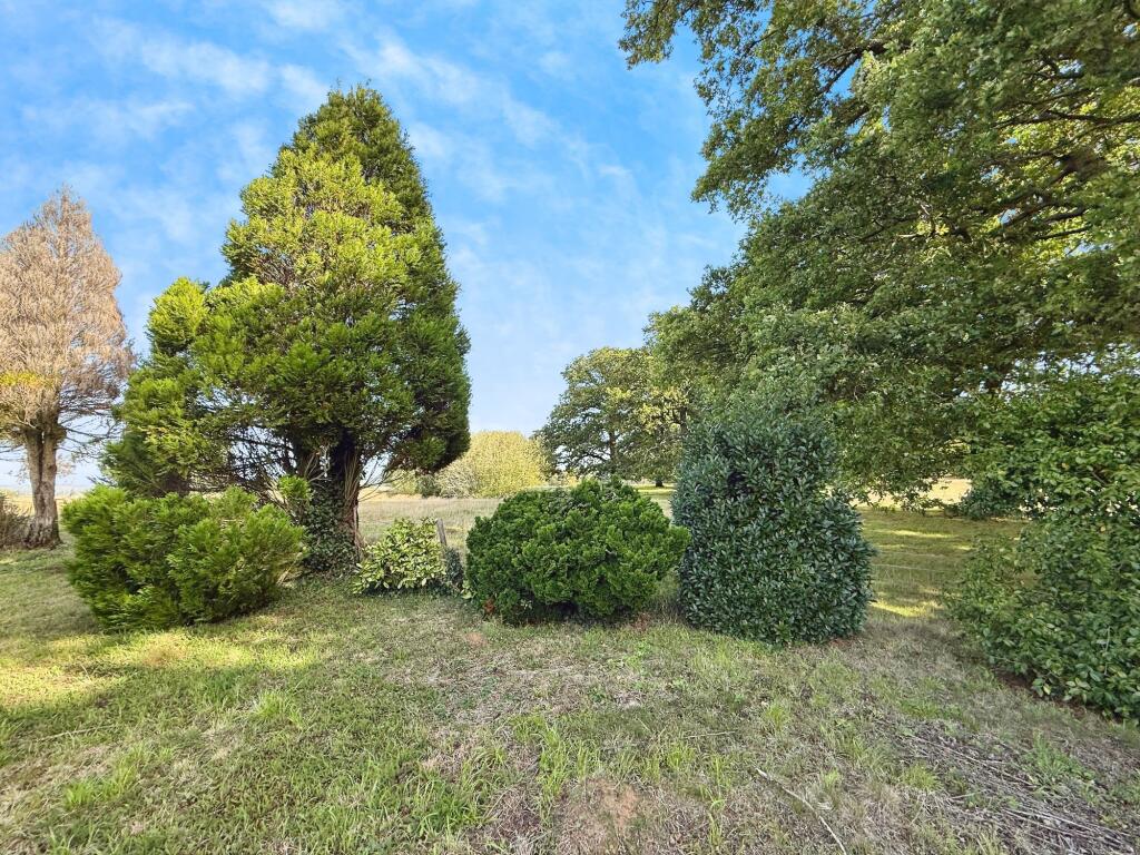 Rear Garden &amp; Views