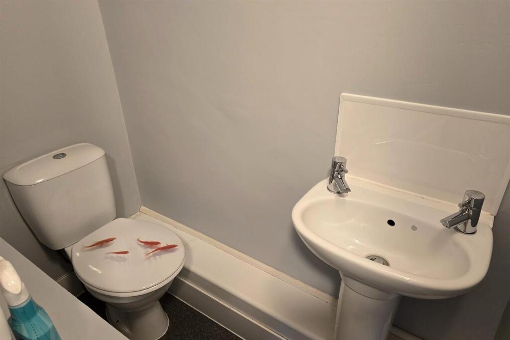 Shower Room Toilet.jpg