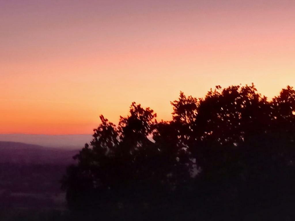 Gorgeous sunsets from the window!
