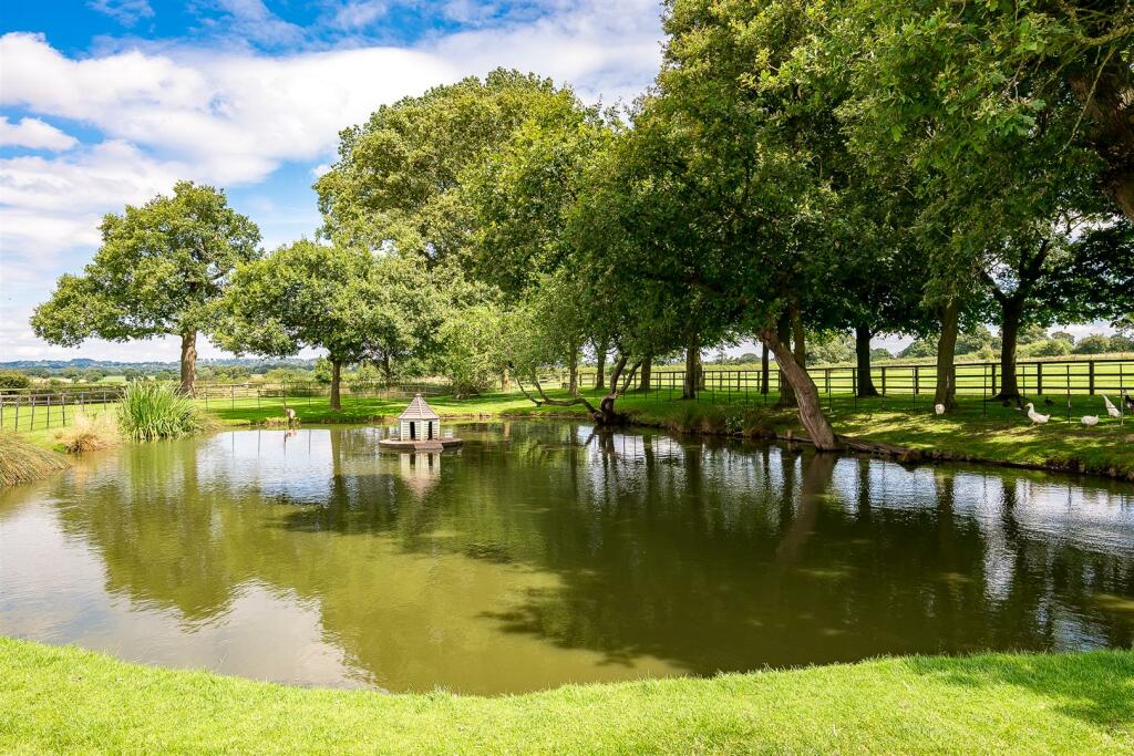 Pond 1