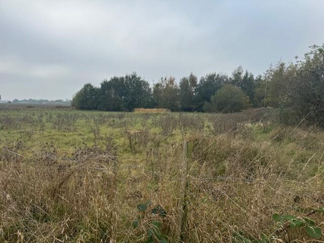 10 T202410291023.jpg