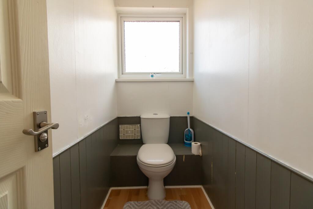 IMAGE 7