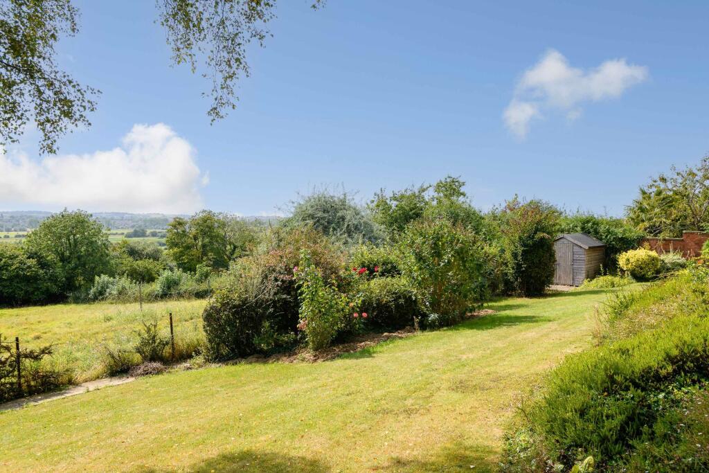 TEK HiRes 240827 040.jpeg