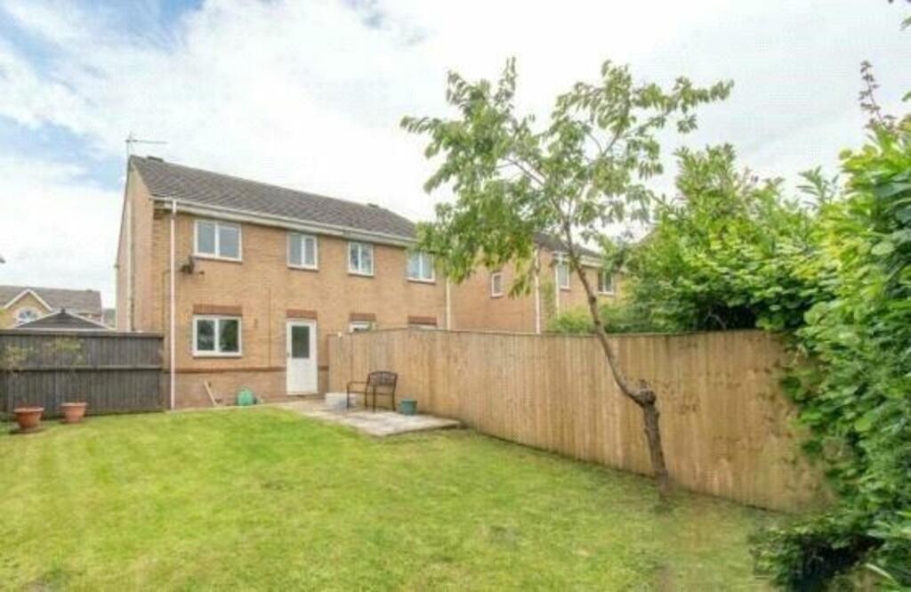 hopefield back