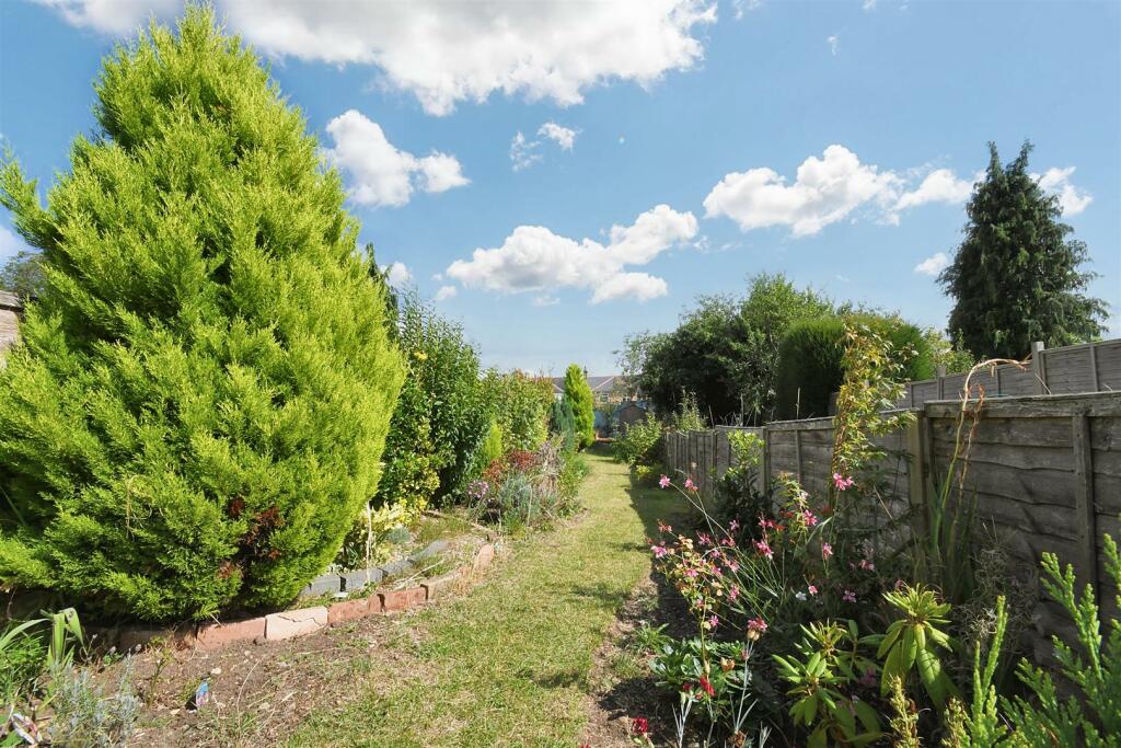 Garden 2.JPG