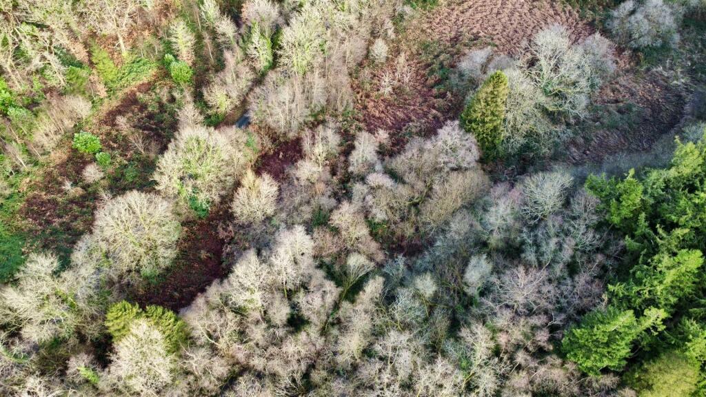 dji_fly_20241223_101030_57_1734948654692_photo_opt