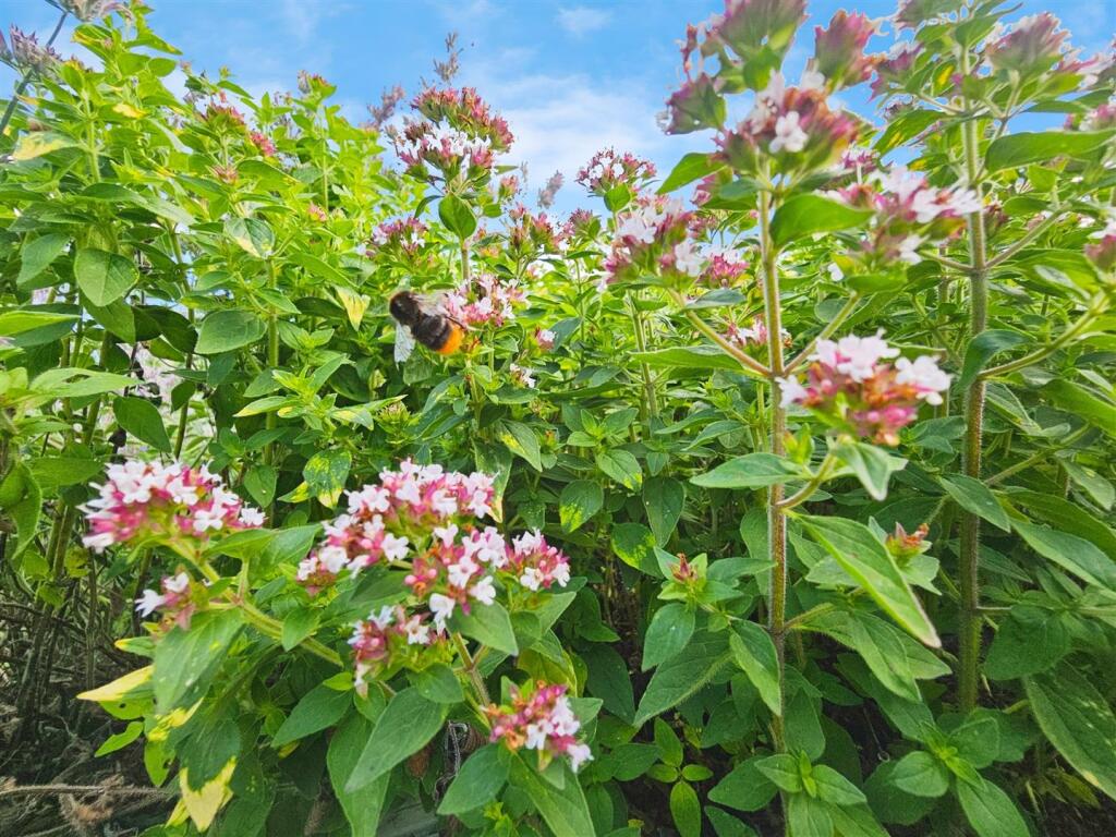 13f6bfaf-20250709_142753 280 29.jpg