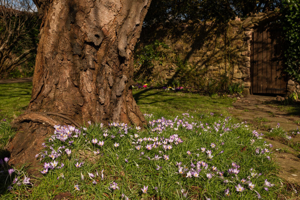 266463 - PH-hr-17.jpg