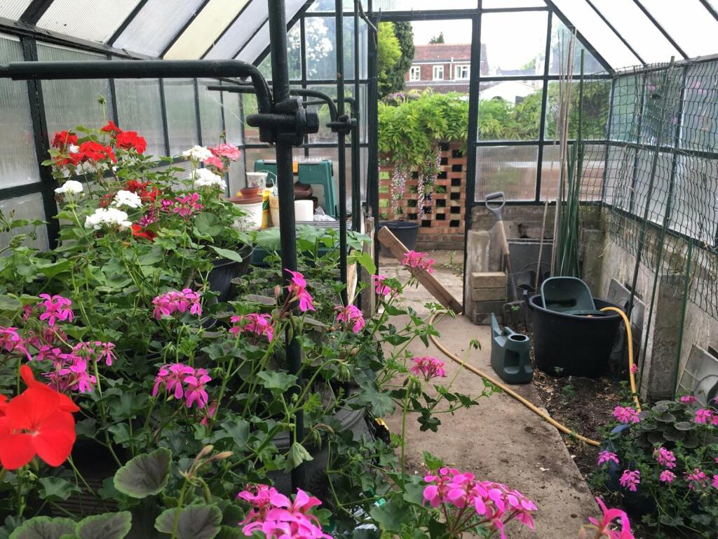 Greenhouse