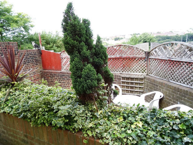 Patio garden