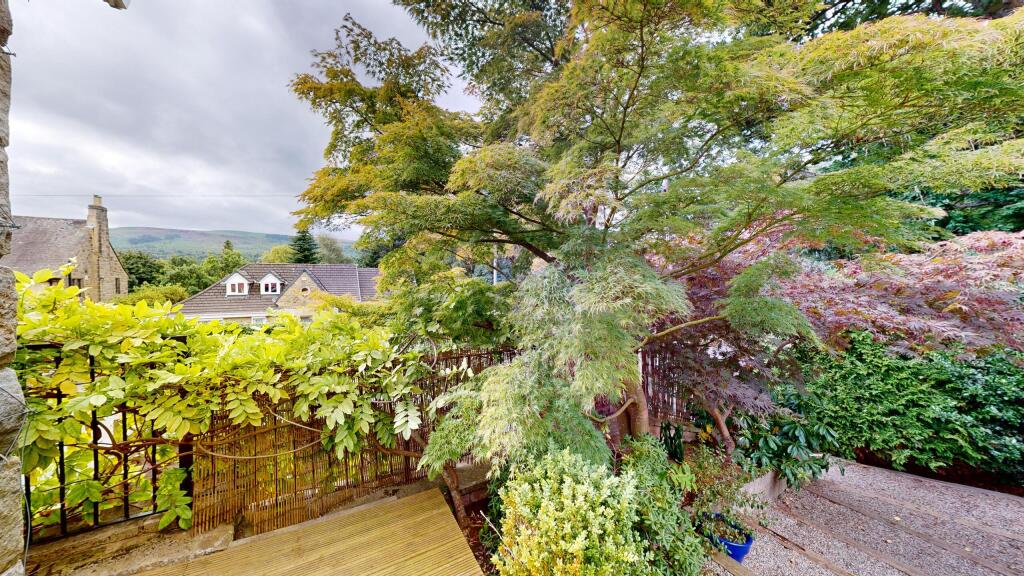 The-Beeches-55a-Curly-Hill-09102024_124030