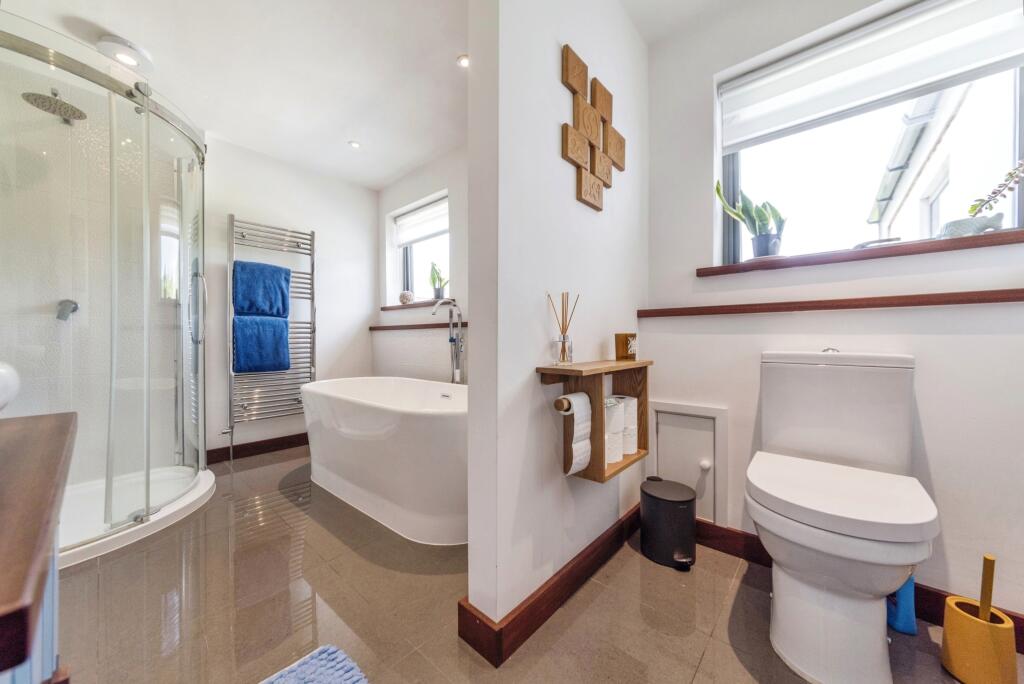 Jackdaws_back_lane-17