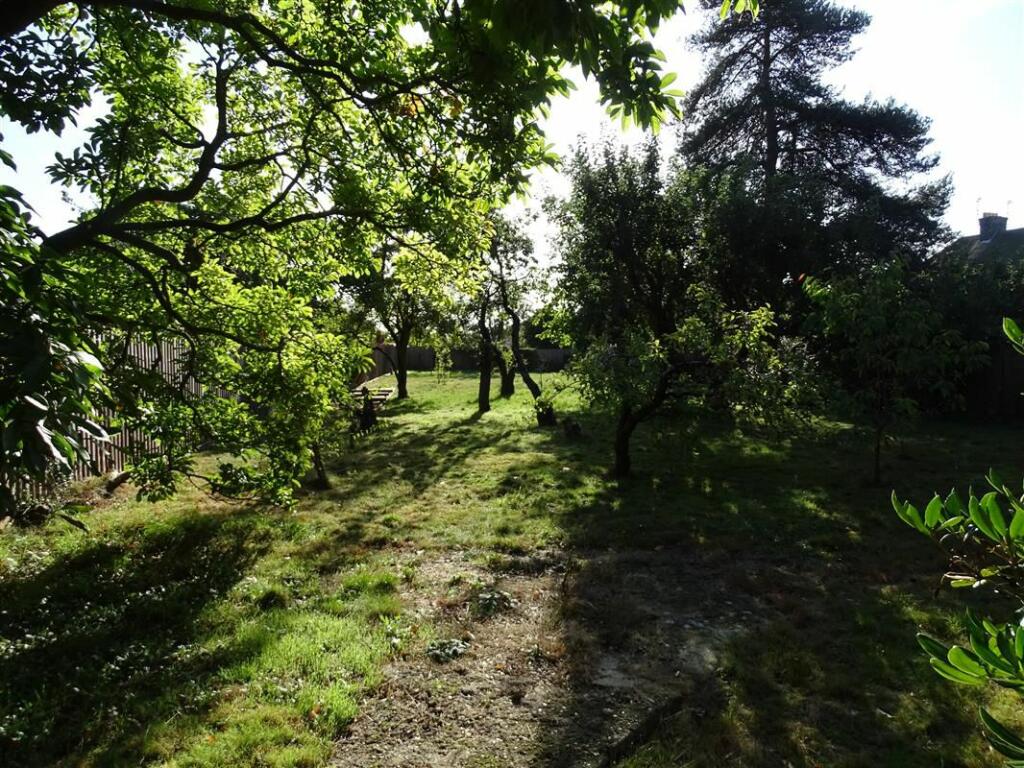 Rear Garden D