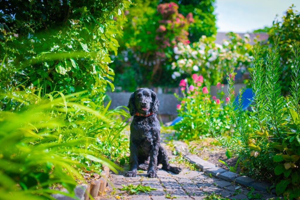 Award-winning Media team on EVERY Listing_21