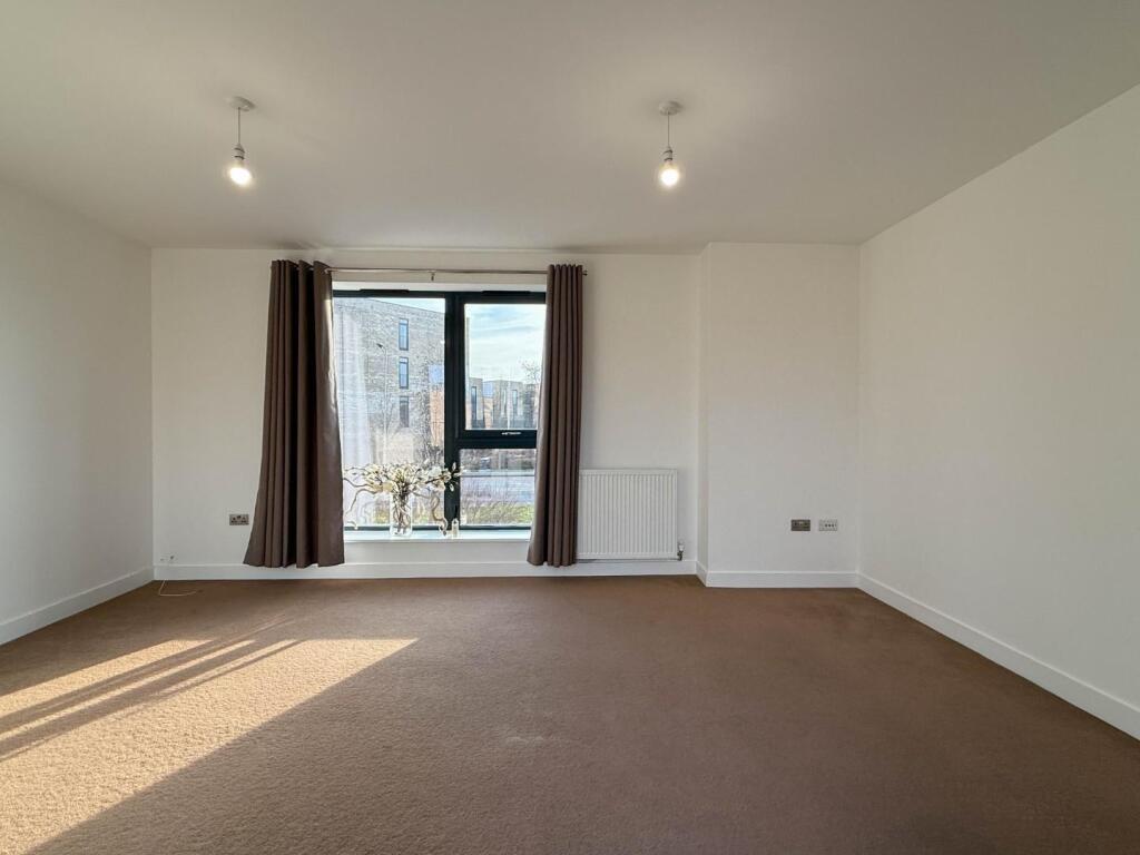 Copy of 20250217_152728784_0.0.jpg