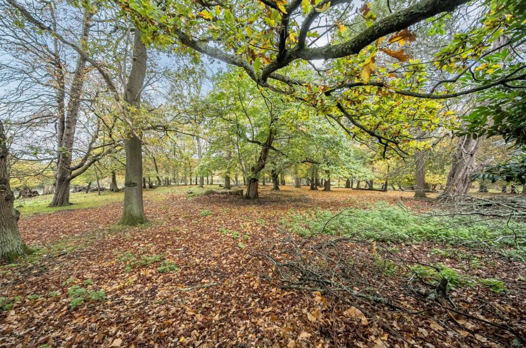 Davidson Frost-Wellings, DFW, Fallowfield, Outside