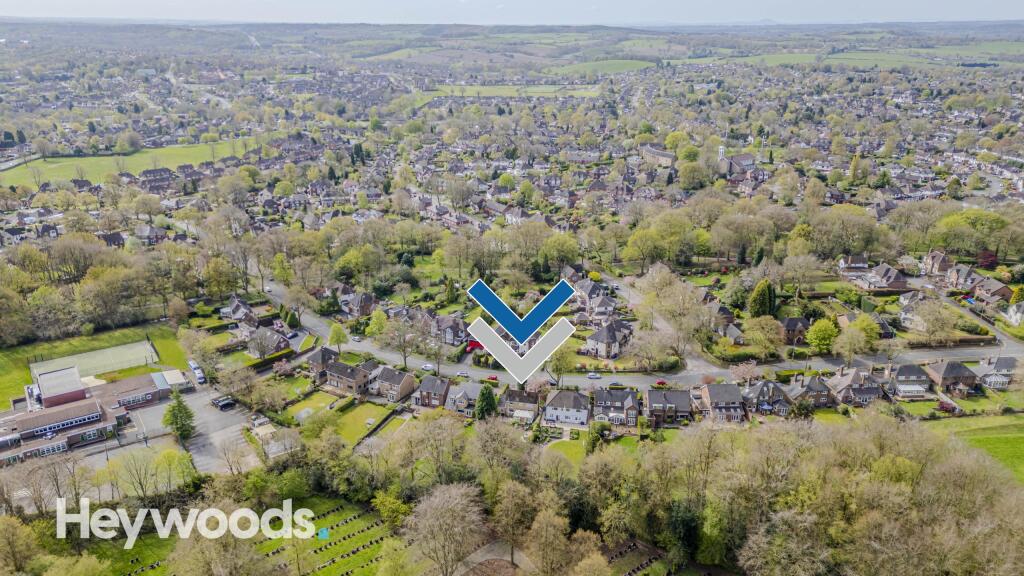 20240420-DJI_0163-Enhanced-SR - Copy