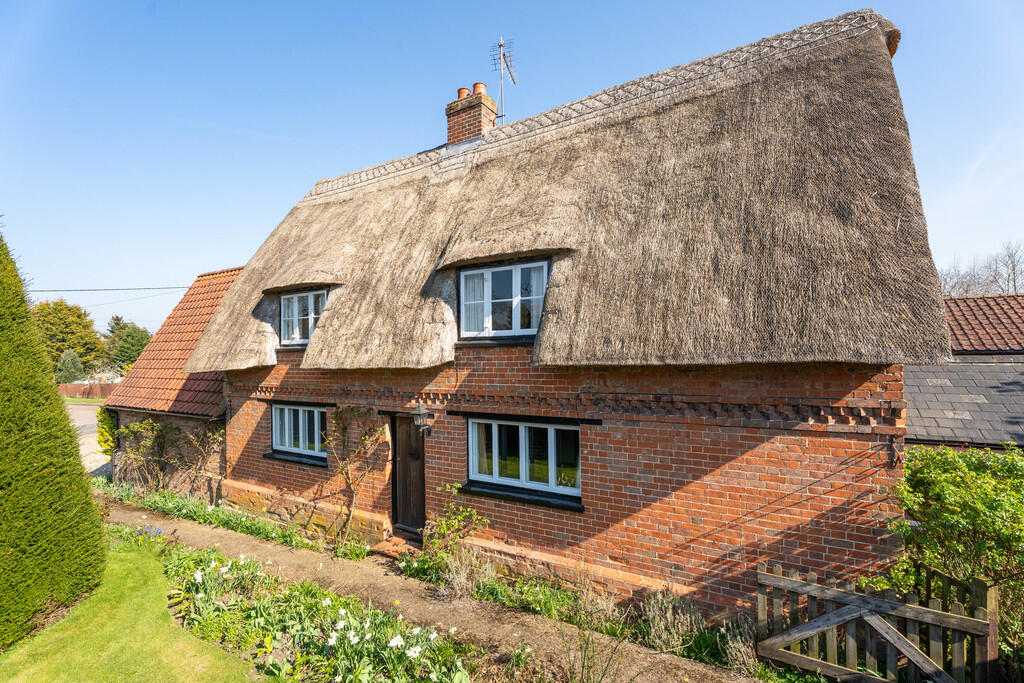 Yew Tree-20