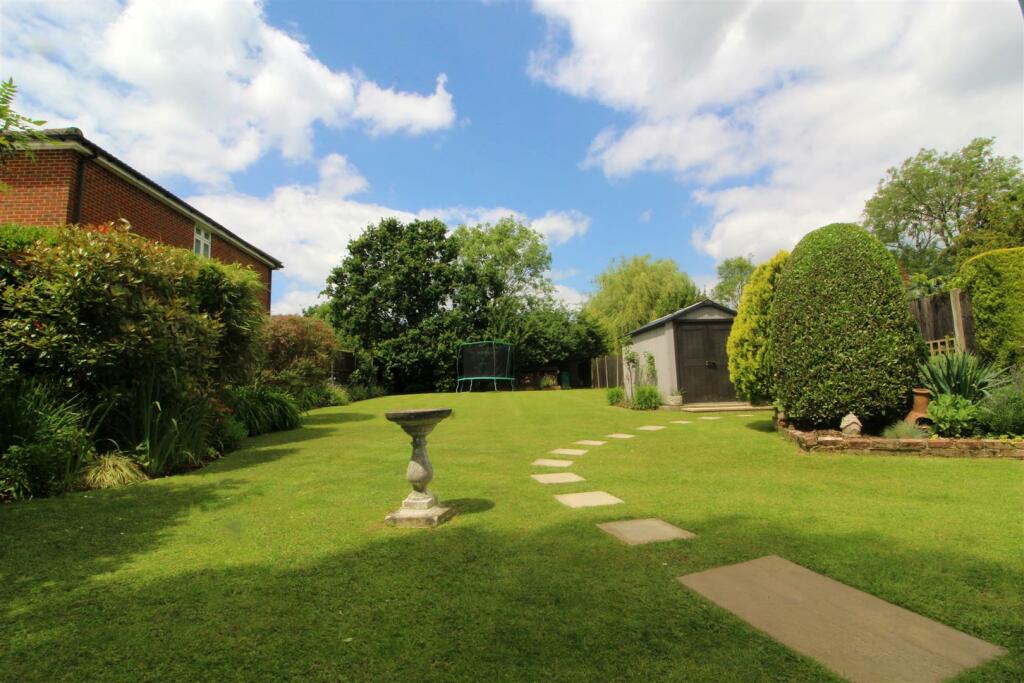 garden 3.jpg