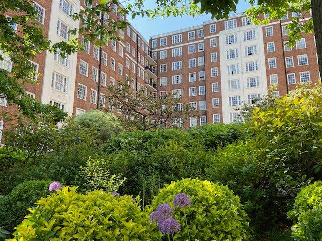 Courtyard Shared Gdn