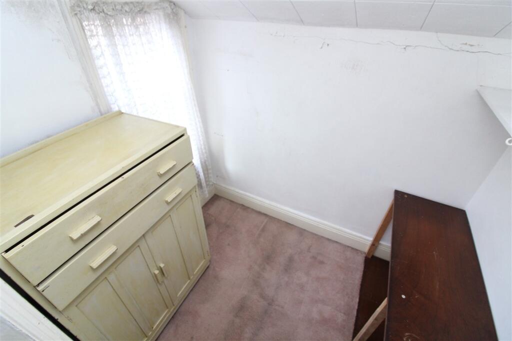 IMG 6531  Medium  T202509101545.jpg