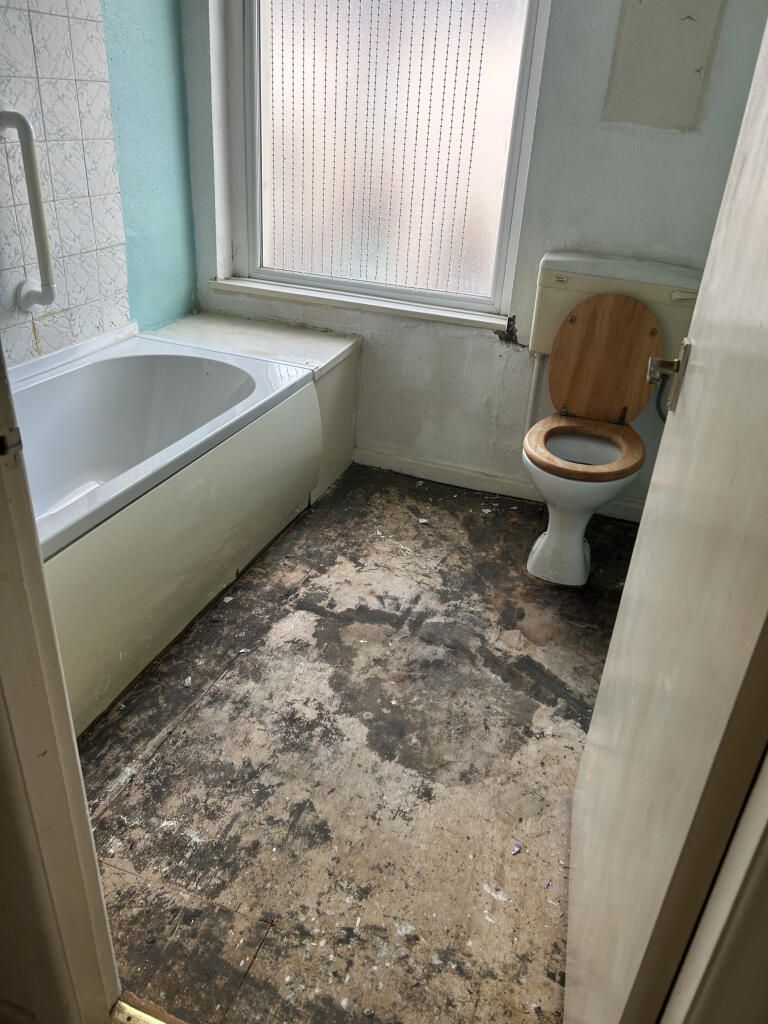 IMG 0653 T202506041036.jpg