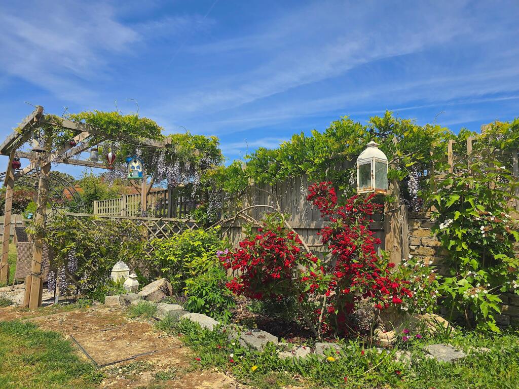 Garden (2)