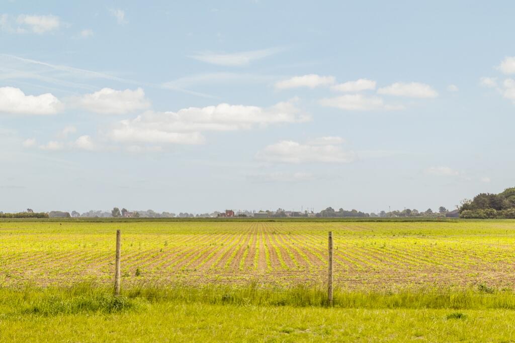 Bells Farm (Old Leake)-30