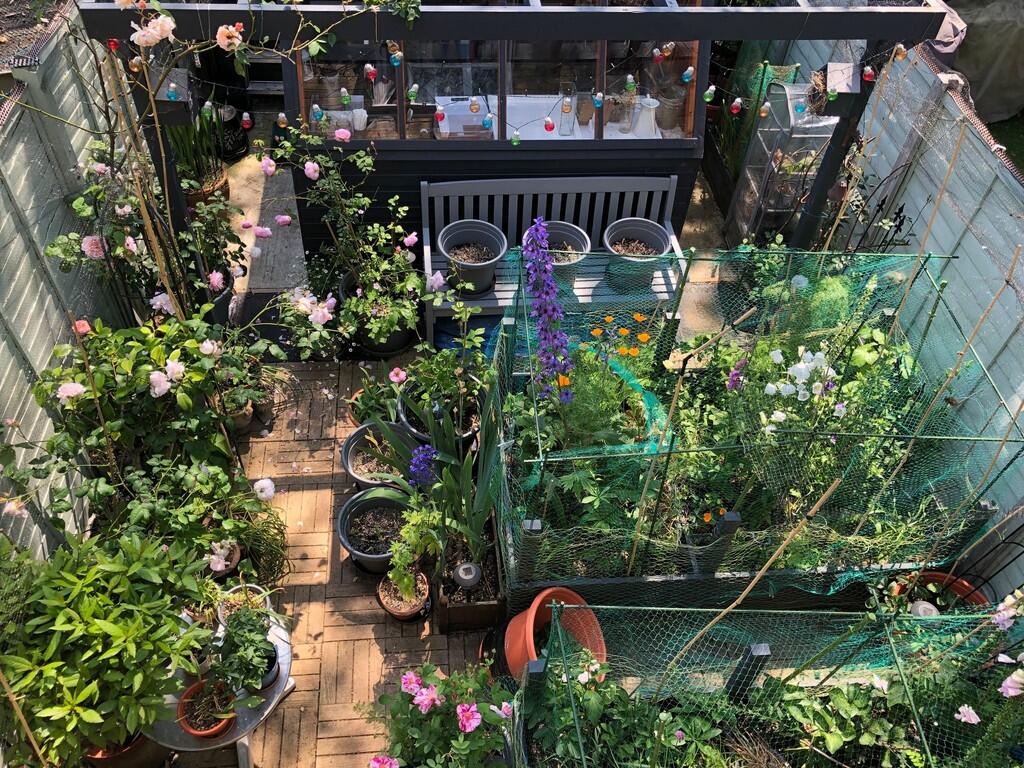 IMG-20250417-WA00...