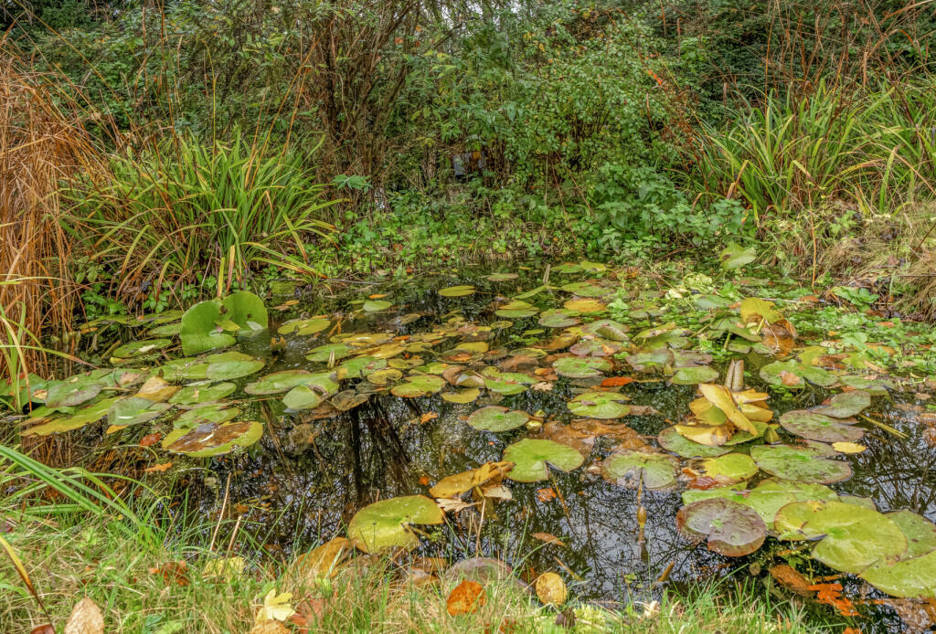 1381096-3-69147b1...