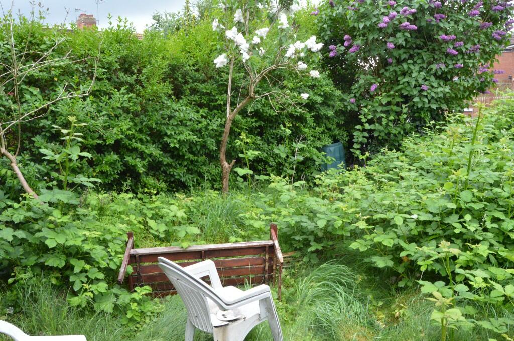 Front garden 
