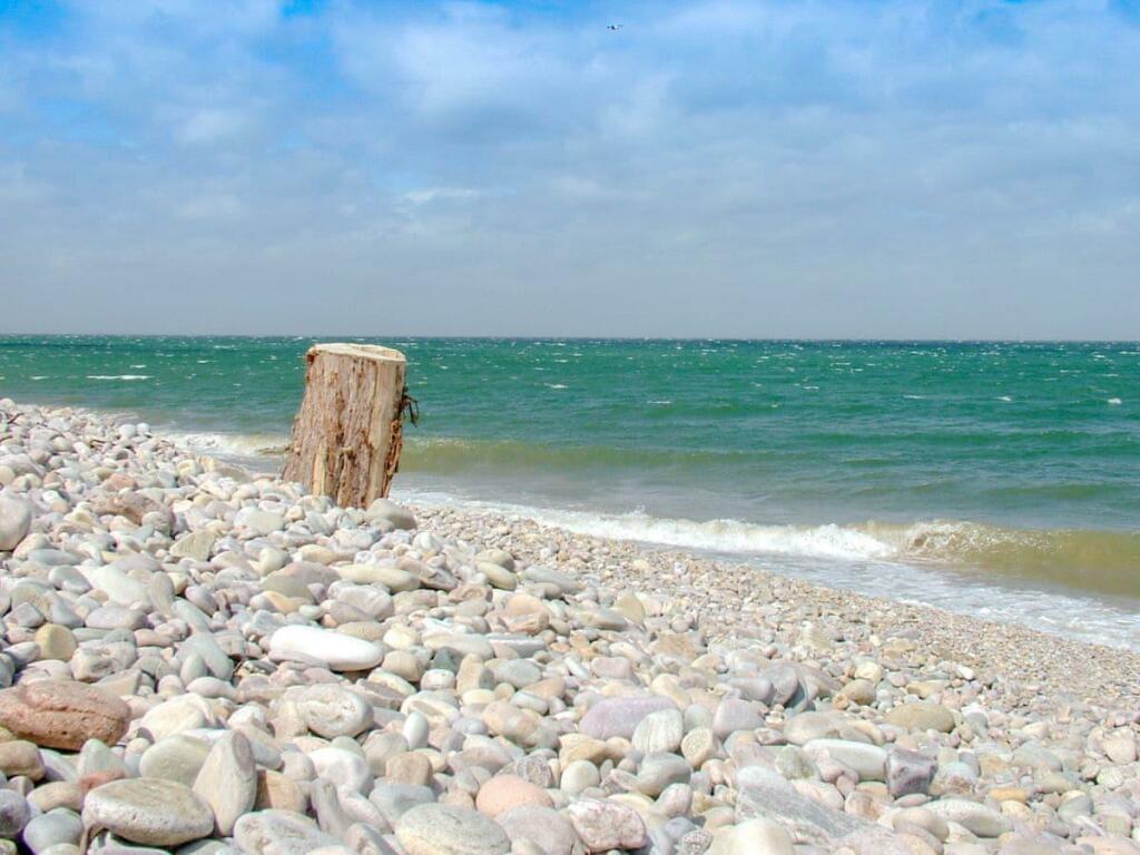 beach view to tree stump.jpg