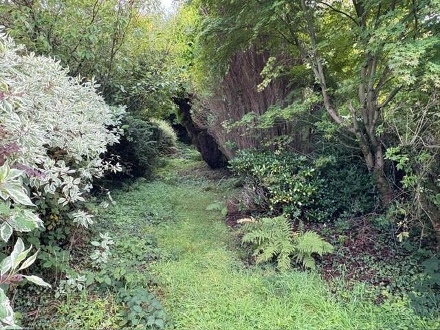 21 T202510031541.jpg