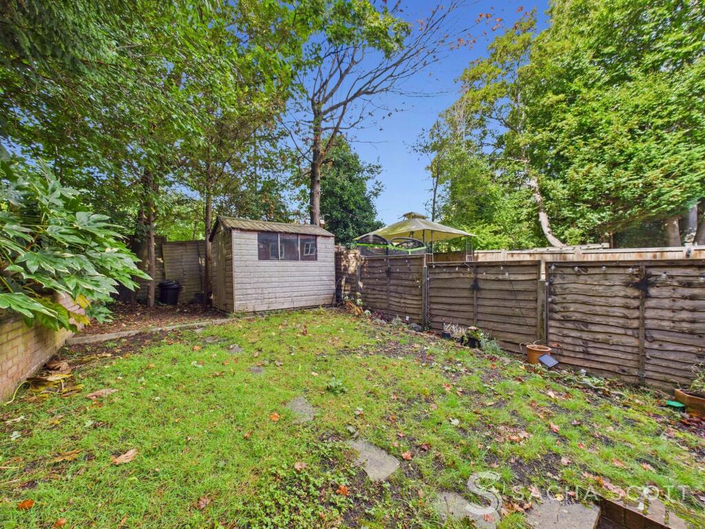 Lawn Area &amp; Shed