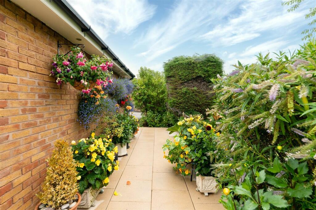 garden.jpg