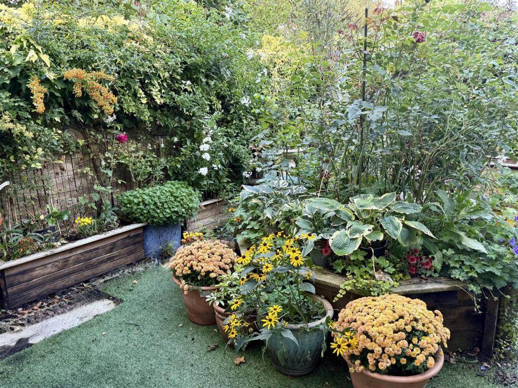 vendors garden 2.jpeg