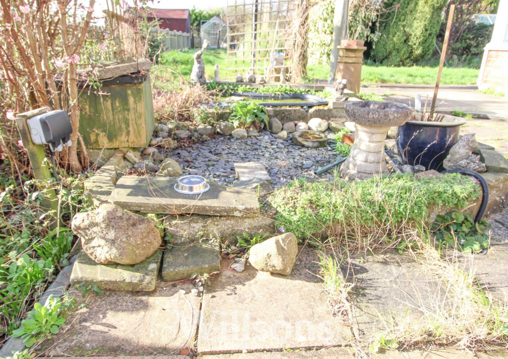 Pond .png
