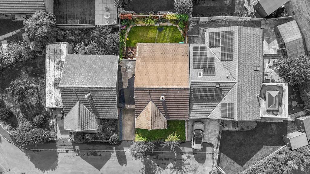 2025-09-05 16.25.55_1-1.jpg