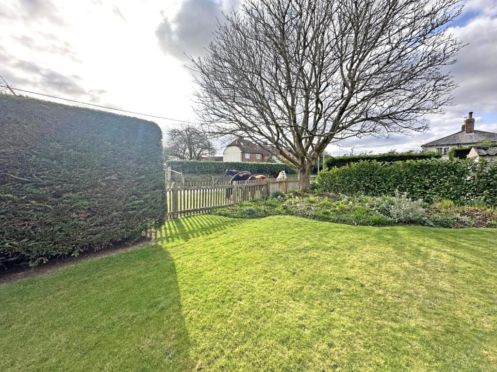 Picture 25