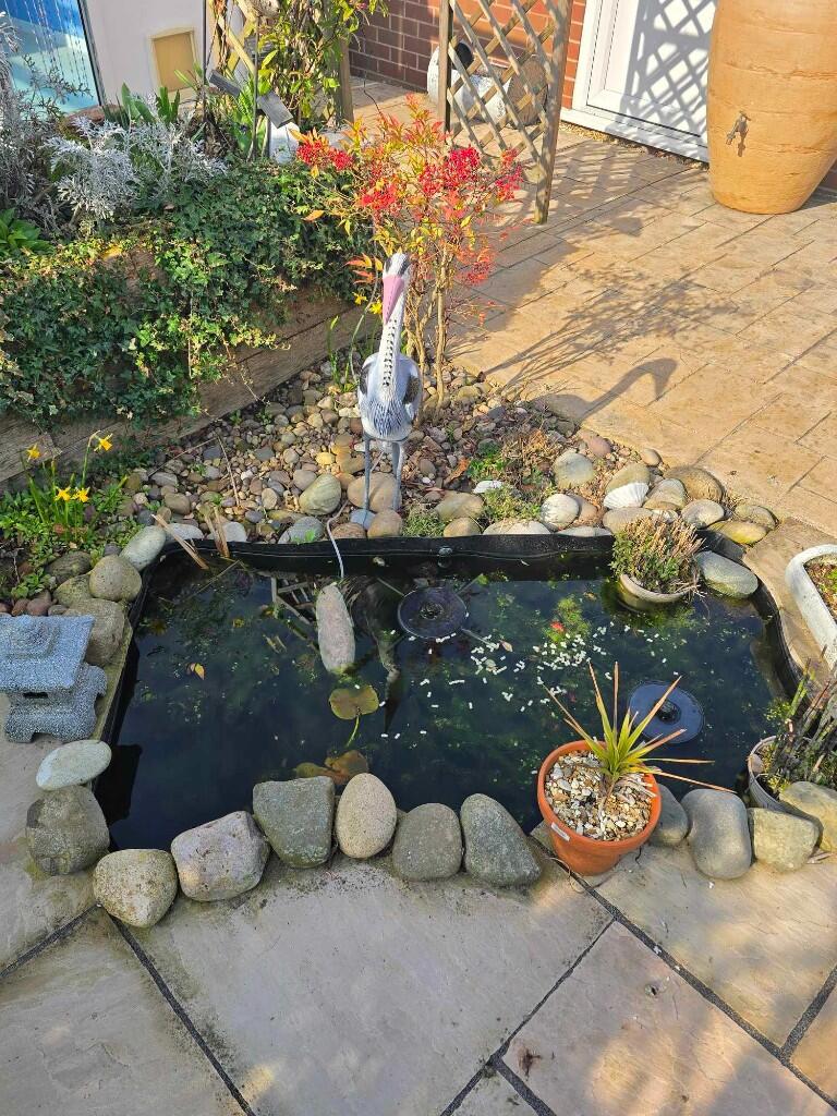 Pond