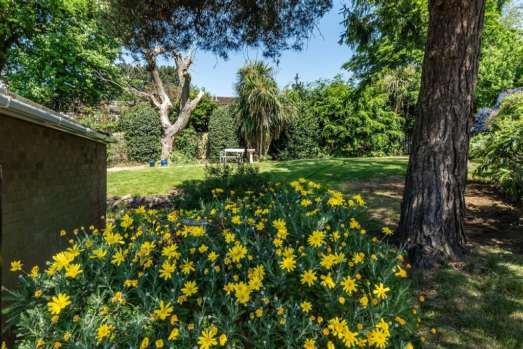 6 Moss Rise 016 -...