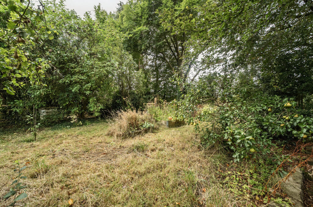 1347054-22-68b6dc...