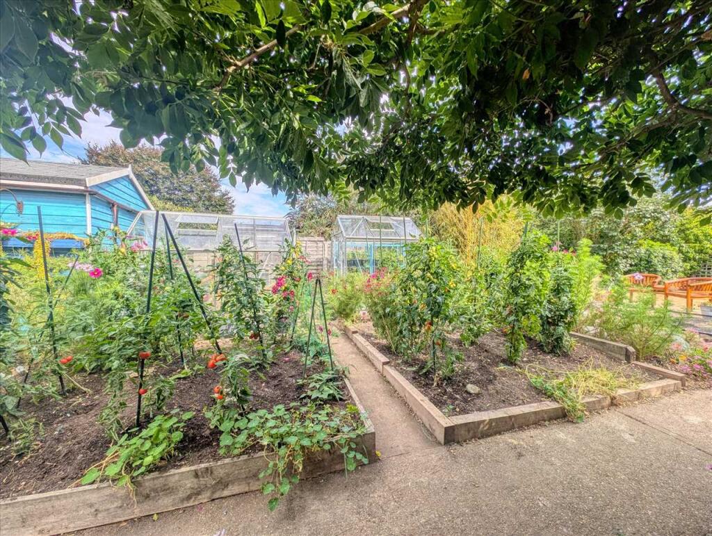 Veg Patch