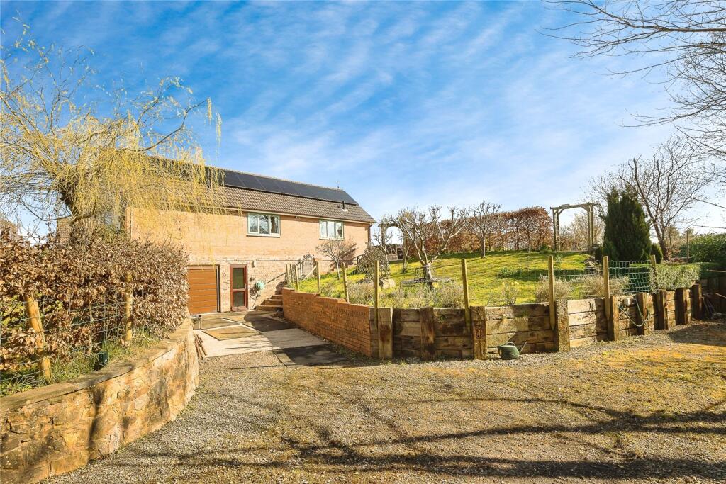 Driveway &amp; Orchard