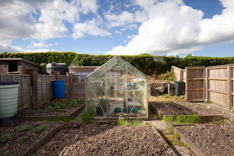 Vegetable Garden