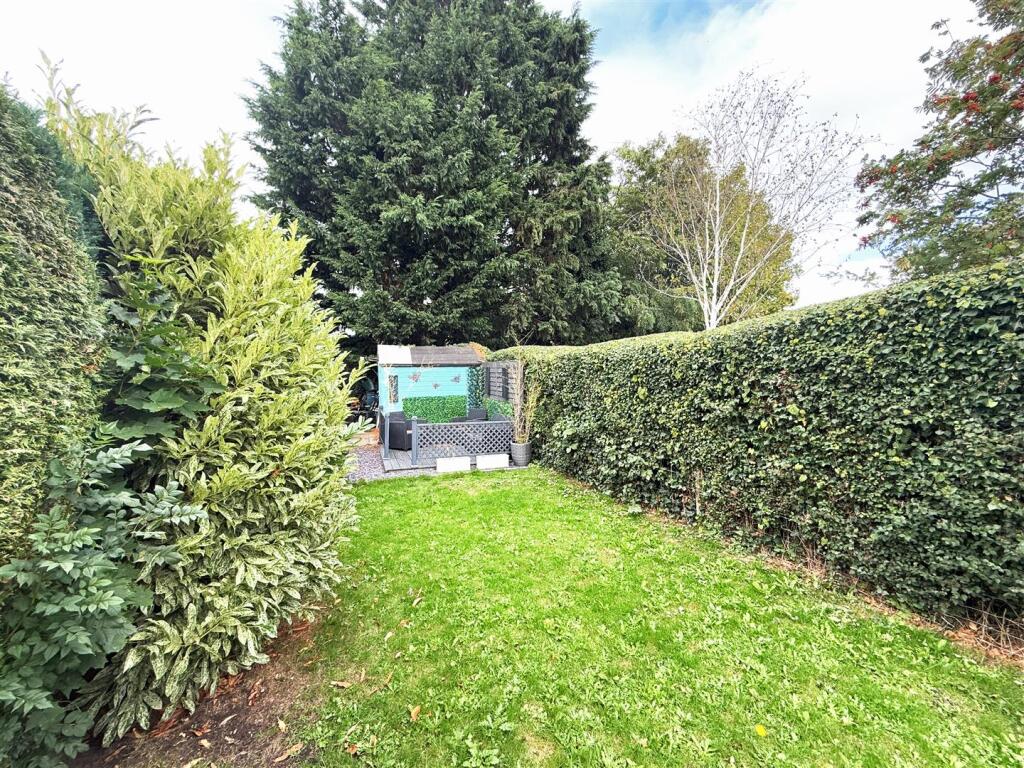 IMG_3342.jpeg